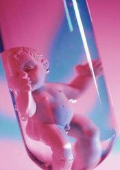 在湛江做一次试管婴儿需要多少钱？如何避免试管婴儿的风险？