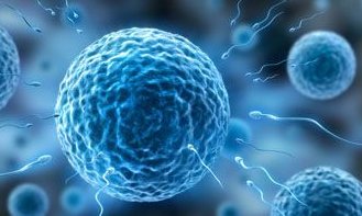 湖北省妇幼保健院试管三代试管费用清单 湖北三代试管婴儿的医院汇总