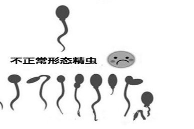 2026年未婚去沈阳二〇四医院做试管的全部费用要多少？