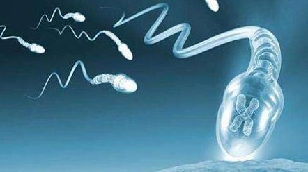 江苏省徐州市10大助孕机构介绍，成功率受年龄影响吗？