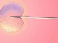 福建省妇幼试管婴儿费用