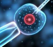 蚌埠试管婴儿哪家强？专业医院排名揭晓