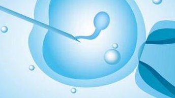 三代试管一个胚胎筛选费多少？三代试管筛查费用约2到6千元