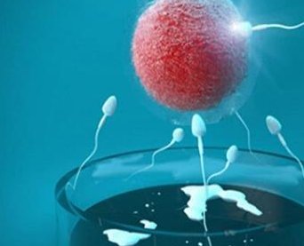 泉州哪些助孕机构试管技术靠谱？泉州三大助孕公司排行榜推荐